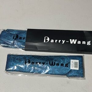 Men's Barry Wang Paisley Tie in Aqua Blue